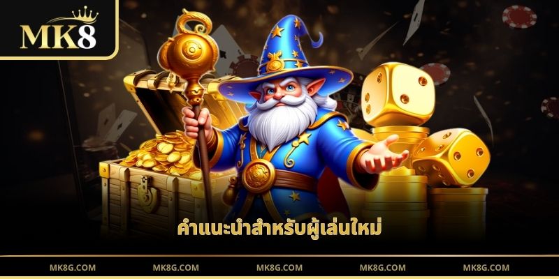 คำแนะนำสำหรับผู้เล่นใหม่