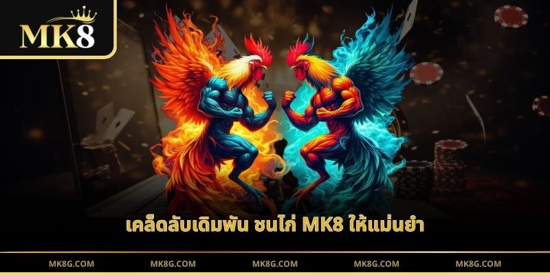 เคล็ดลับเดิมพัน ชนไก่ MK8 ให้แม่นยำ